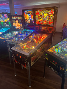 Williams Black Knight 2000 Pinball Machine