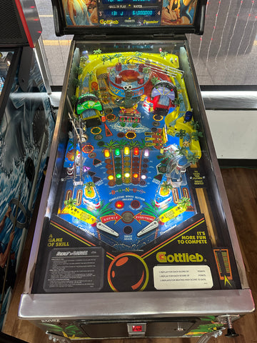 Image of Gottlieb Surf 'n Safari Pinball Machine