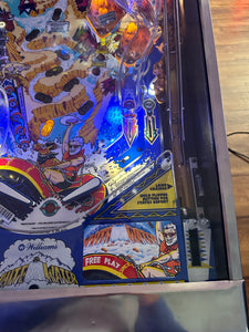 Williams White Water Pinball Machine