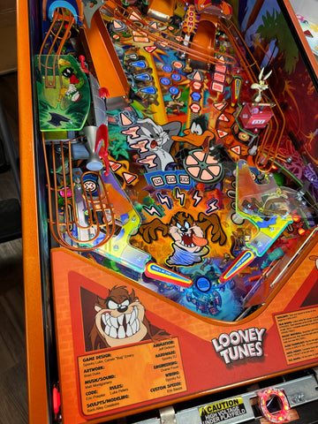 Image of Spooky Pinball Looney Tunes Collectors Edition Pinball Machine