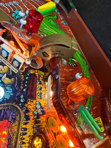 Bally Escape from the Lost World Pinball Machine