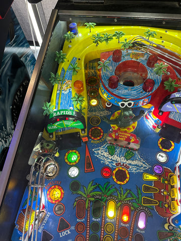 Image of Gottlieb Surf 'n Safari Pinball Machine