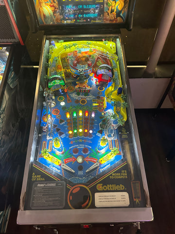 Image of Gottlieb Surf 'n Safari Pinball Machine