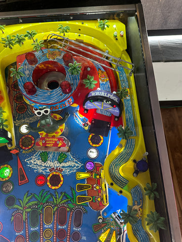 Image of Gottlieb Surf 'n Safari Pinball Machine