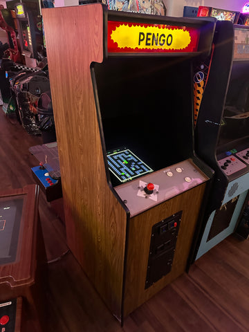 Image of Pengo Arcade Game