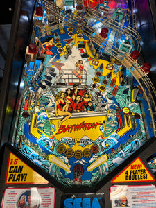 SEGA Baywatch Pinball Machine